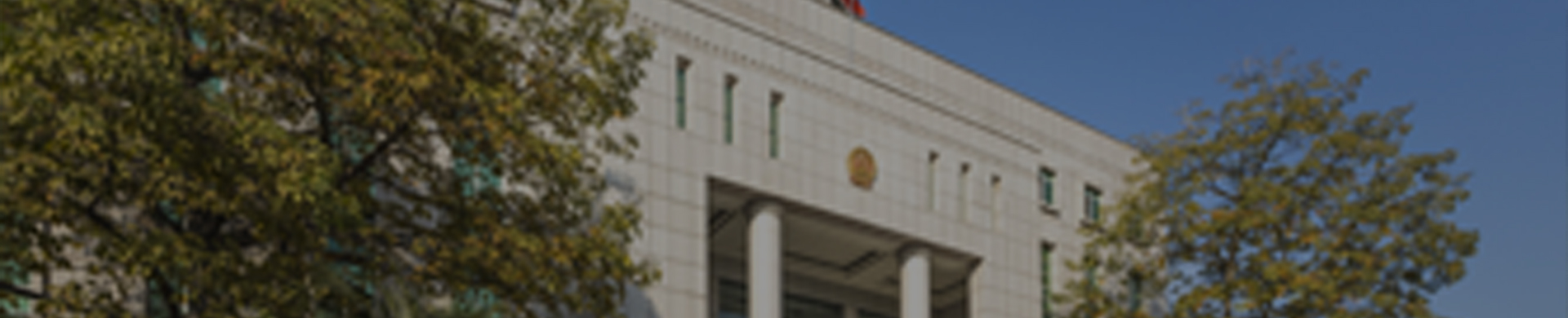 谱育科技