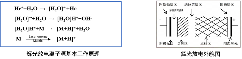 1782100690593899.png 谱育科技
