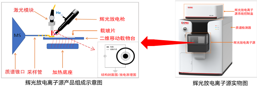 1782100837232563.png 谱育科技